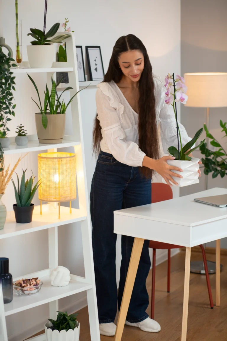 How to plan the decoration of your new property
